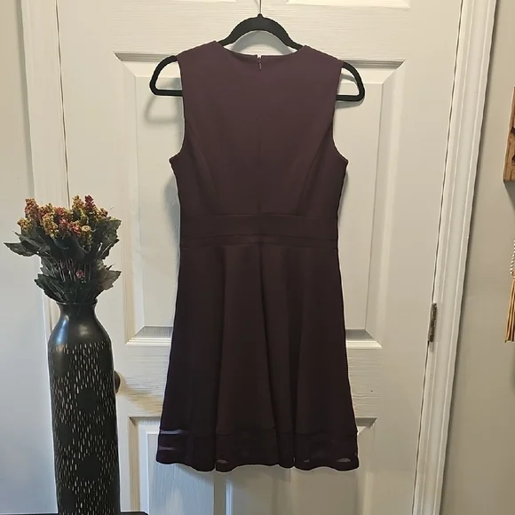 Calvin Klein Sleeveless, Plum Dress, Fitted Bodice, Flare Skirt, Size 6P - Picture 3 of 6